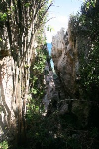ravine