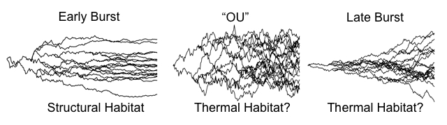 Trait values over time, simulated under three evolutionary models