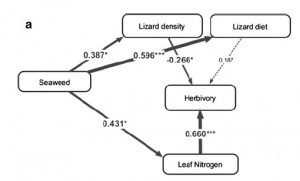 path diagram
