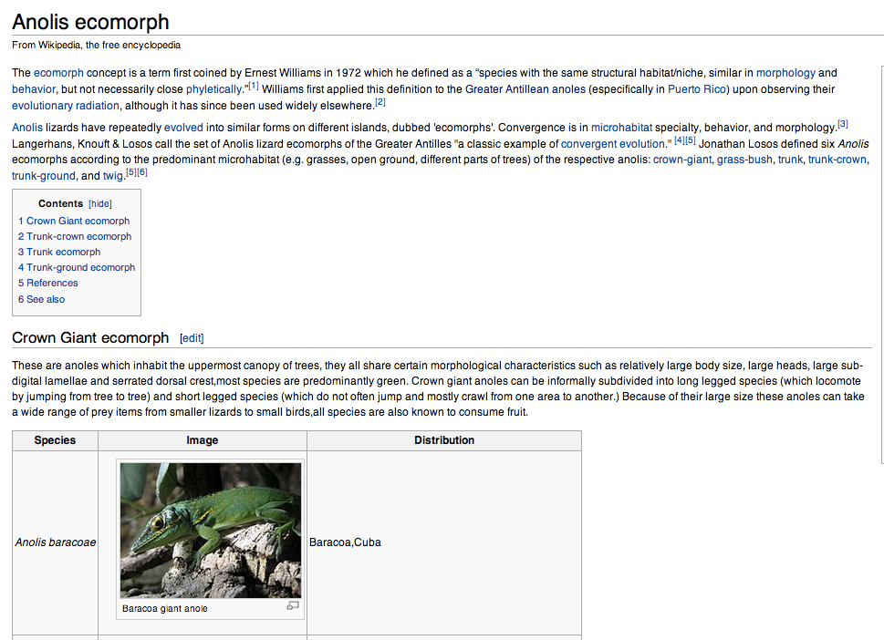 Ecomorphs Have Their Own Wikipedia Page Anole Annals