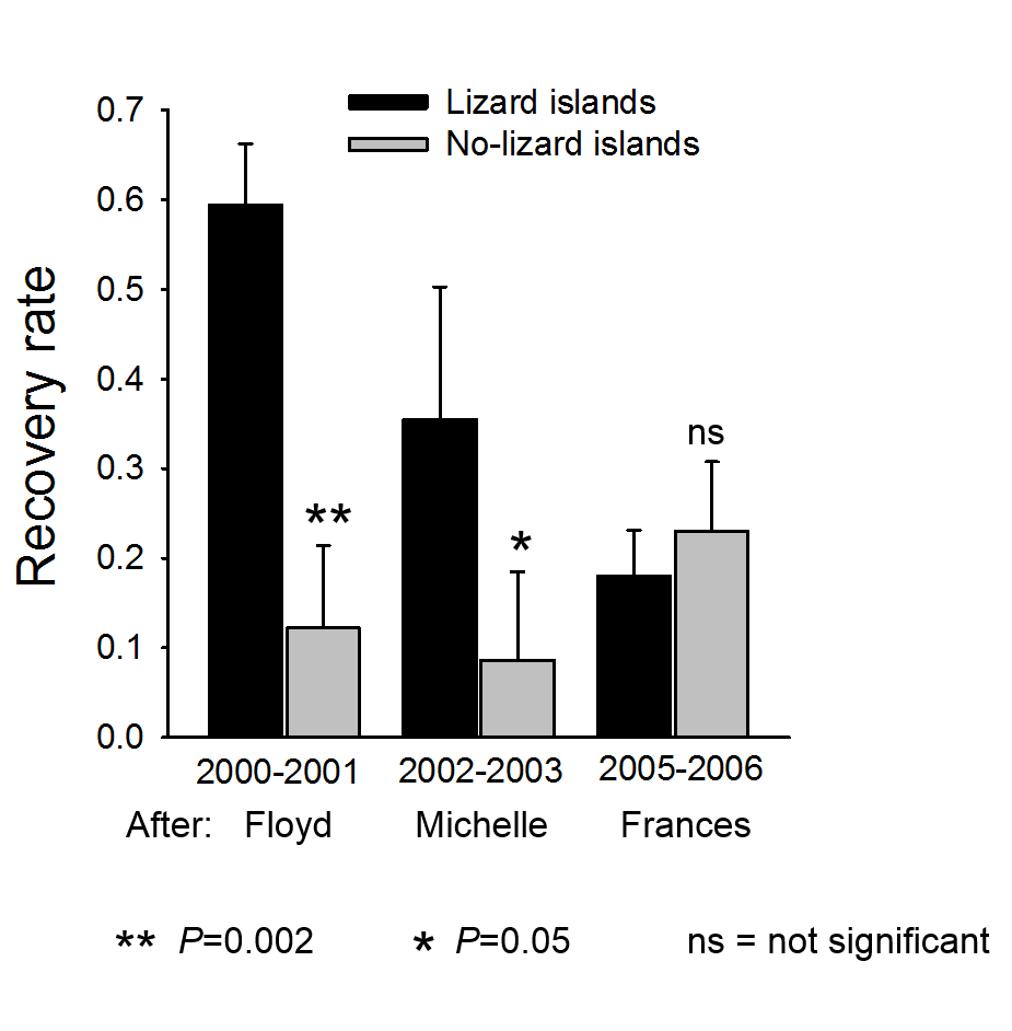 ESA 2016: Top-Down Effects of Brown Anoles on Islands Following ...